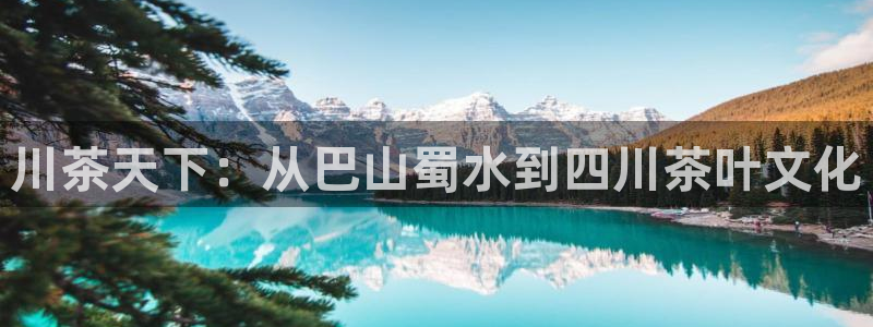 龙八国际官网入口