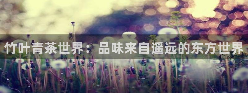 龙八国际登