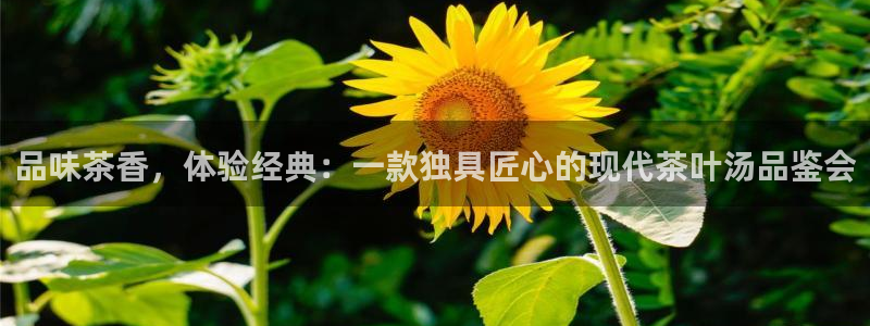 龙八国际app手机端