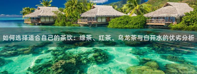 龙八国际客户端app