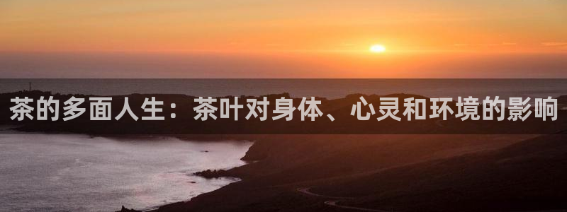 龙八国际app手机版下载安卓
