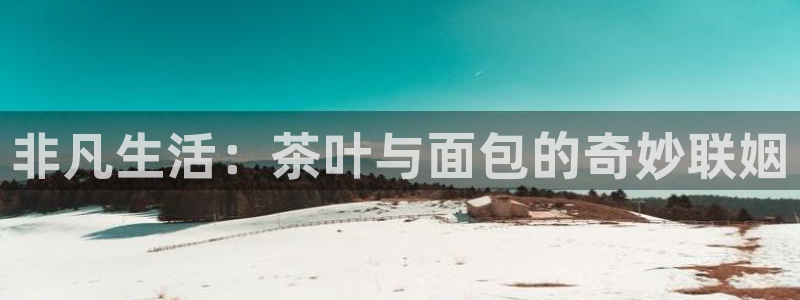 龙八国际网站登录