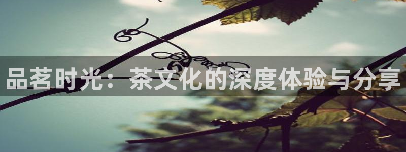 龙八国际报警