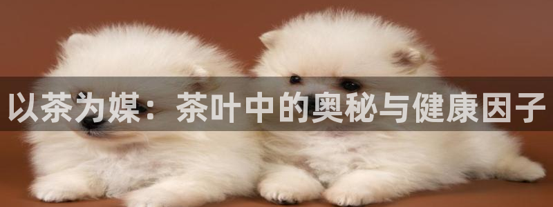龙八国际报警