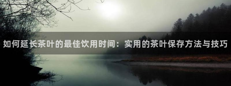 龙八国际官网进入