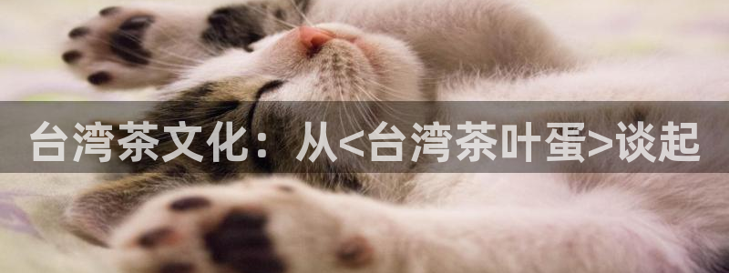 下载龙八国际
