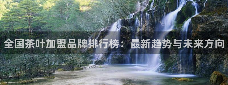 龙八国际娱乐 pt