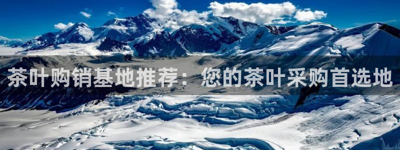 龙八国际头号玩家是谁啊