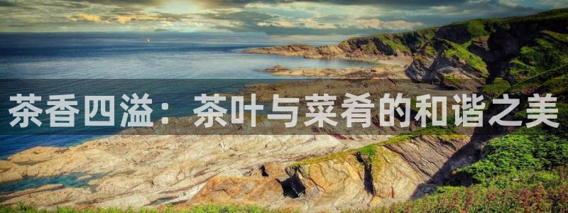 龙八国际贸易有限公司