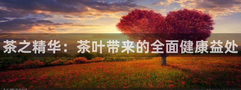 龙八国际网页long8.hn