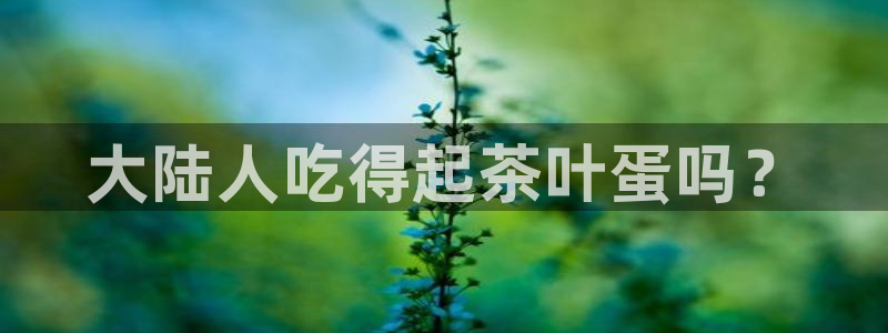 龙八国际客户端下载安卓