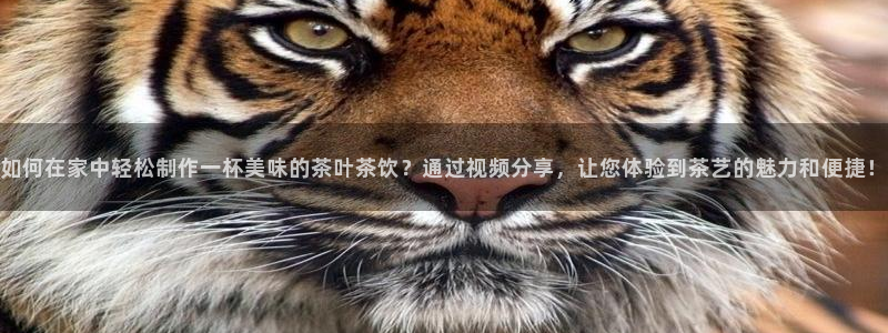龙八国际最新版本下载