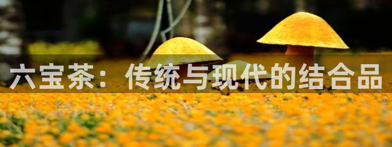 龙八国际客户端下载平台