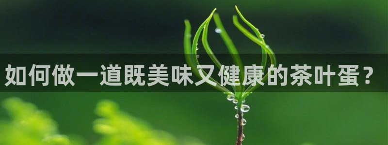 龙八国际服官网进入