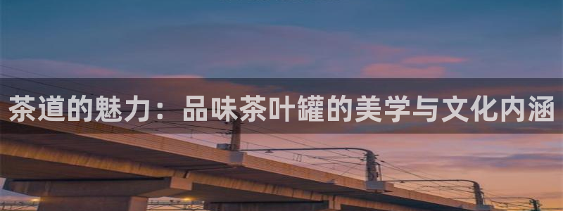 龙八国际官方网站pt