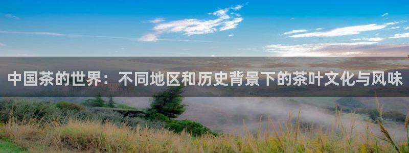 龙八国际不可思议的气球