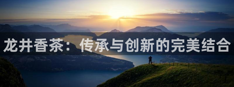 龙八国际官网下载安卓