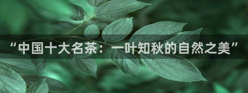 菲律宾龙八国际
