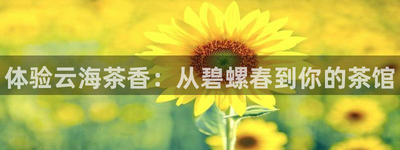 龙八国际客户端下载平台