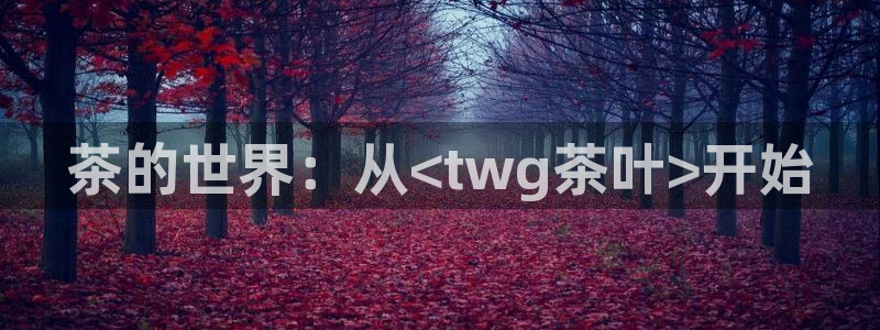 龙八国际app客户端下载手机端