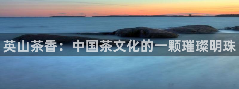龙八国际客户端下载官网