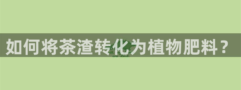 龙八国际娱乐二维码