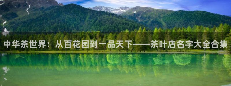 龙八国际手机版下载安卓