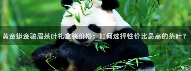 龙八国际网页long