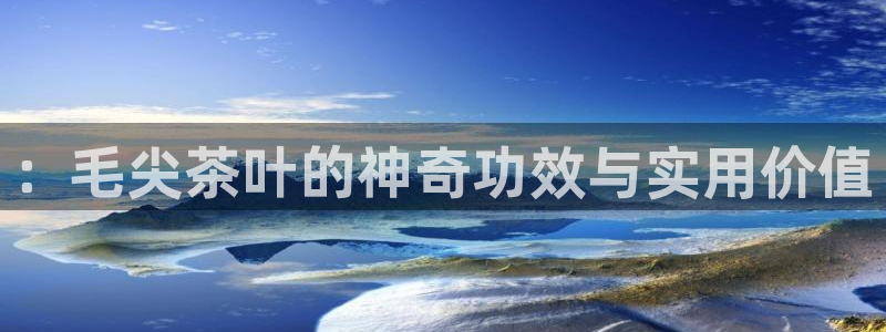 龙八国际官网进入