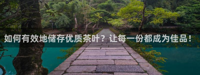 龙八国际手机网页版