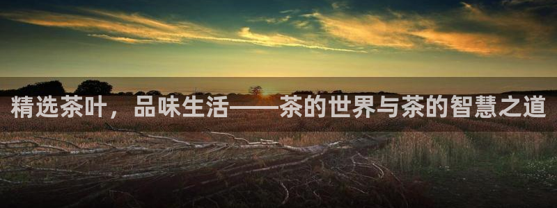 龙八国际平台真人游戏