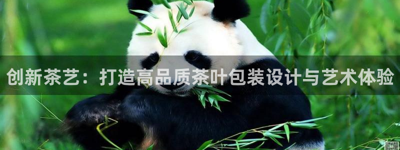 龙八国际游戏维护时间