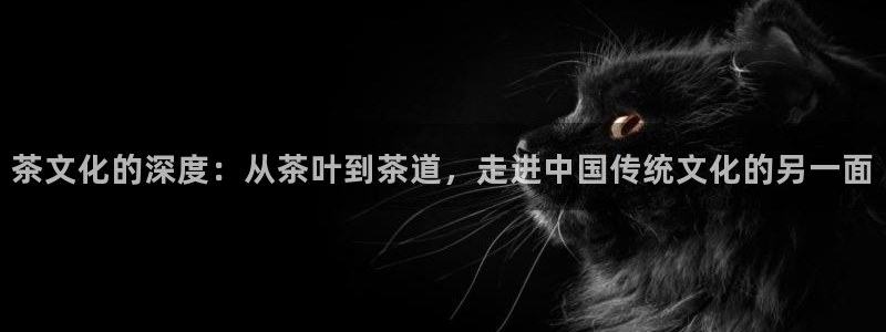 龙八国际官方旗舰店
