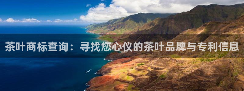 龙八国际官方登录网址