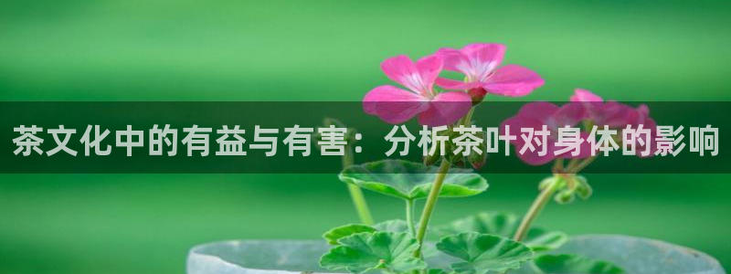 龙八国际选q18点tv