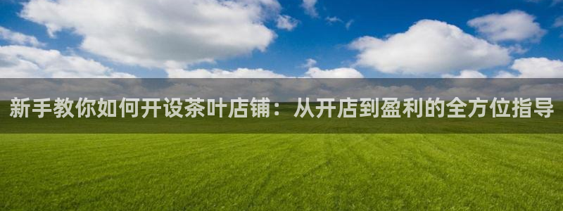 大英龙八国际