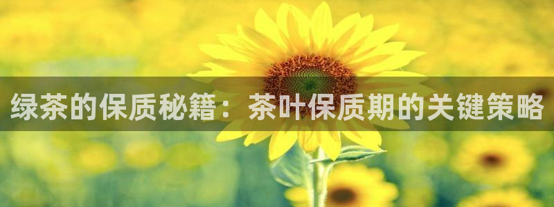 龙八国际最新版本下载