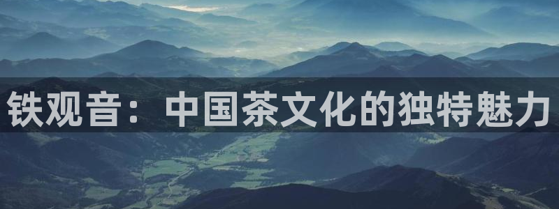 龙八国际APP客户