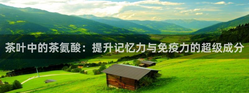 龙八国际网页版