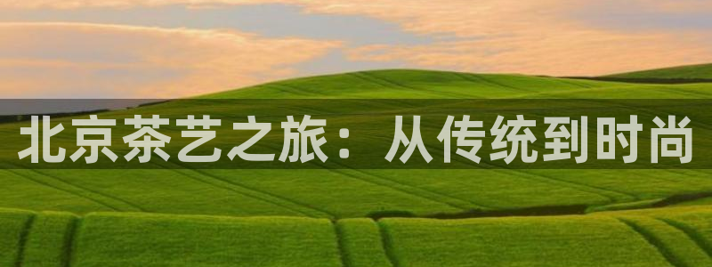 龙八国际手机下载