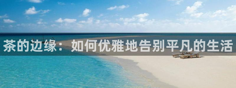 龙八国际新版