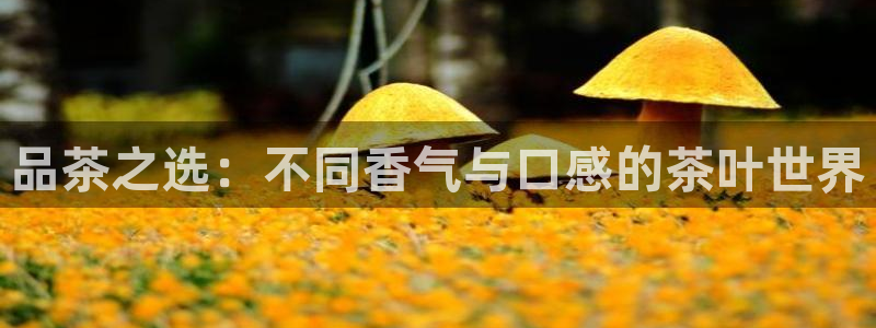 龙八国际苹果版下载