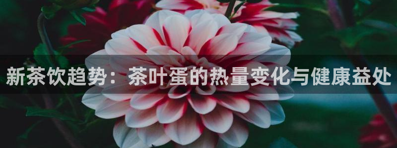 下载龙八国际网站