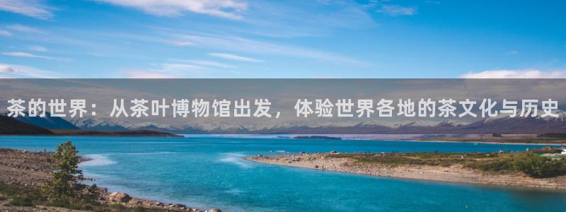 龙八国际手机下载安装