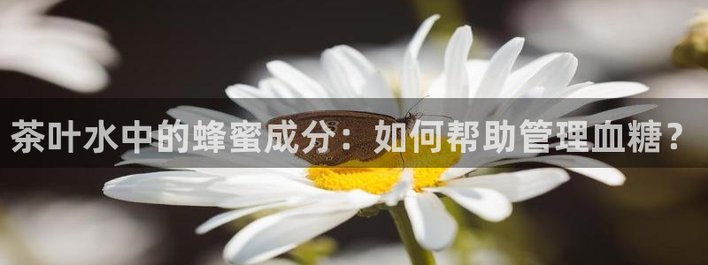 下载龙八国际