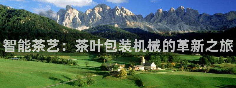 龙八国际网q18点tv