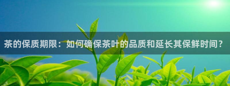 不会玩龙八国际