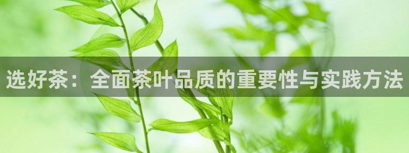 龙八国际备用地址
