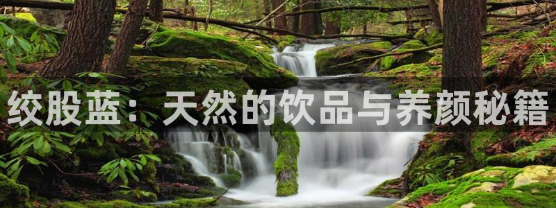 龙八国际娱乐官网首页