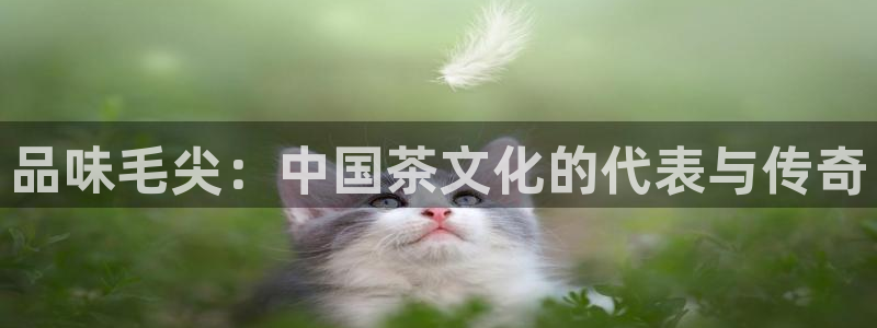 龙八国际网址f68点top